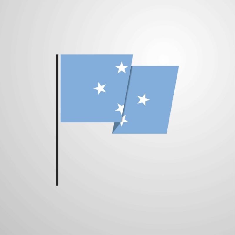 Federal Micronesia flag, tinta specializes in the wholesale supply of tailor-made flags